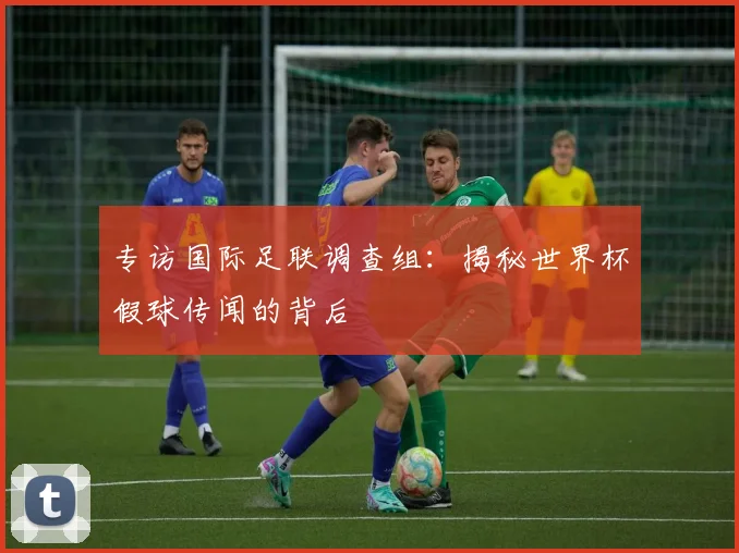 专访国际足联调查组：揭秘世界杯假球传闻的背后