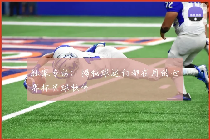 独家专访：揭秘球迷们都在用的世界杯买球软件