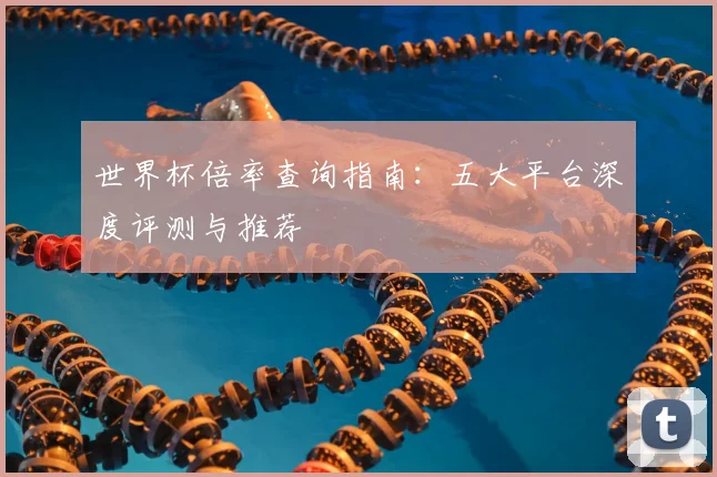 世界杯倍率查询指南:五大平台深度评测与推荐