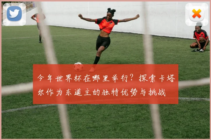 今年世界杯在哪里举行?探索卡塔尔作为东道主的独特优势与挑战