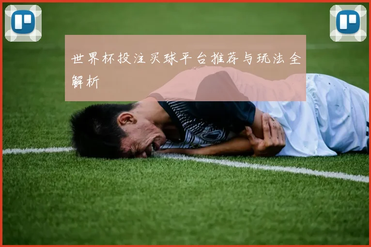 世界杯投注买球平台推荐与玩法全解析